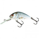 SALMO Hornet 4cm COULANT Real Dace