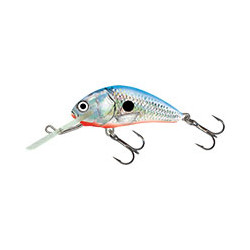 Leurre SALMO Hornet 4cm FLOTTANT Silver blue shad