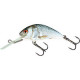 Leurre SALMO Hornet 5cm COULANT Real Dace