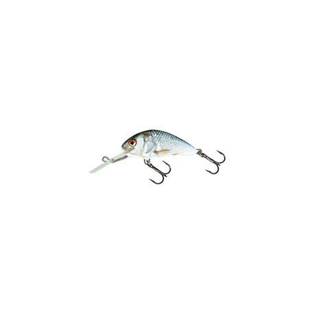 Leurre SALMO Hornet 5cm COULANT Real Dace
