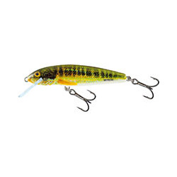 SALMO Minnow 5cm FLOTTANT Holo real minnow