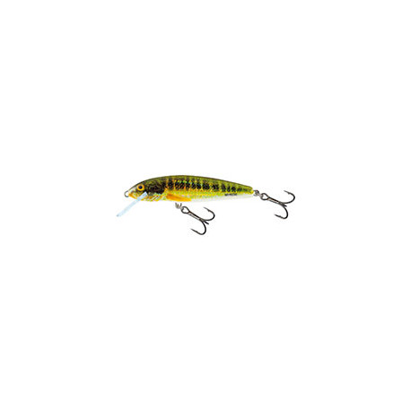 SALMO Minnow 5cm FLOTTANT Holo real minnow