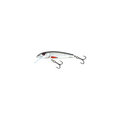 Leurre SALMO Minnow 5cm COULANT  Dace