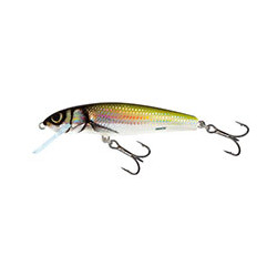 SALMO Minnow 5cm COULANT Holo bleak