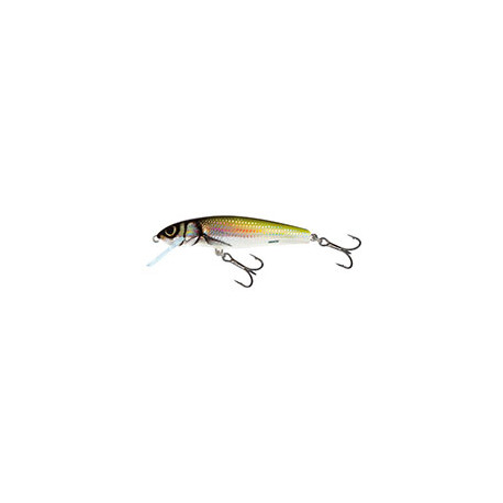 Leurre SALMO Minnow 5cm COULANT Holo bleak