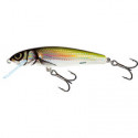 Leurre SALMO Minnow 5cm COULANT Holo bleak
