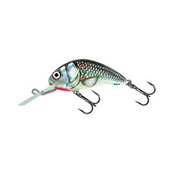 SALMO Hornet 6cm COULANT Holographic grey shiner