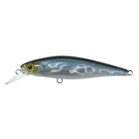 Leurre ILLEX Squad minnow 65 SP NF Ablette