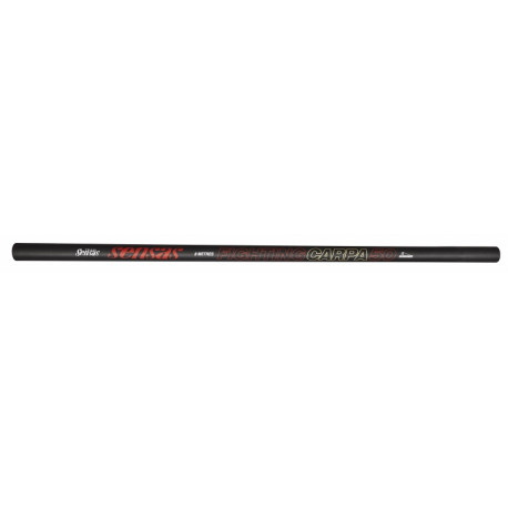Canne SENSAS Fighting carp 50 - 8M