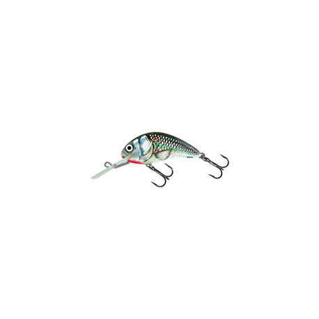 Leurre SALMO Hornet 4cm COULANT Holographic grey shiner