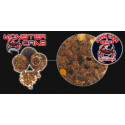 FUN FISHING Extasy Monster Crab Boilie 20mm - 800Gr