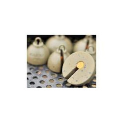 Plombs GURU Inline Plummets 45gr