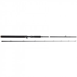 Canne SAVAGE GEAR SG2 Jerk specialist 1m98 70-100gr