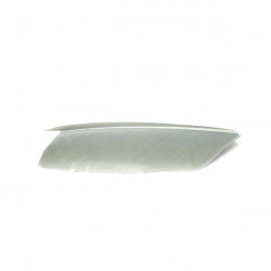 Substitut de Condor Fly Scene Gray Olive