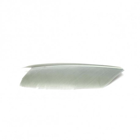 Condor Fly Scene Gray Olive substitute