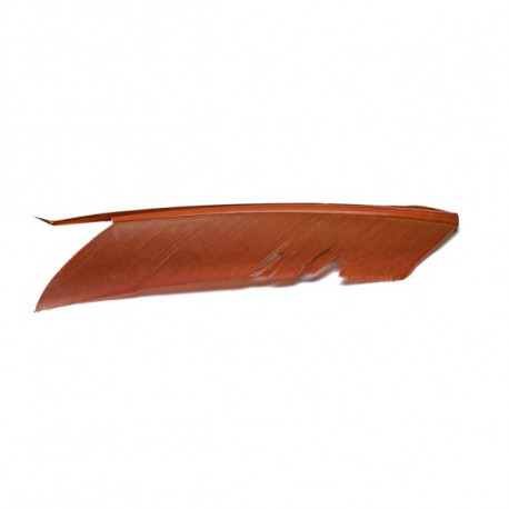Substitut de Condor Fly Scene Rusty Spinner