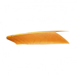 Substitut de Condor Fly Scene Yellowish Tan