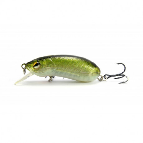 LUREFANS CC-50S Green ghost flash