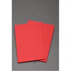 Thin fly foam FLY SCENE Rouge