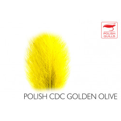 Cul de canard POLISHQUILLS Golden Olive