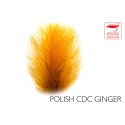 Duck ass POLISHQUILLS Ginger