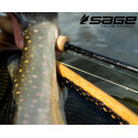 Canne SAGE SENSE 10' soie de 3