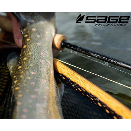 Rod SAGE SENSE 10' - 4