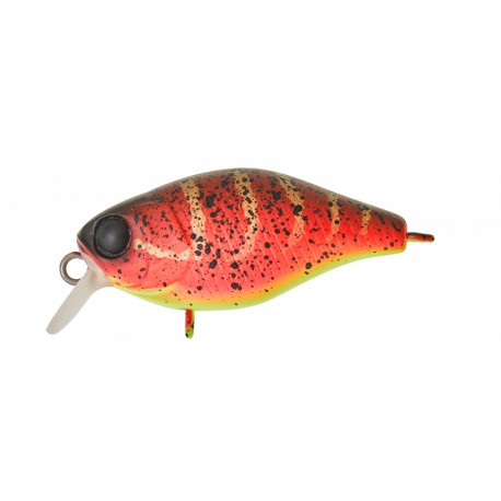 Leurre ILLEX Chubby 38mm MR Spicy louisy craw