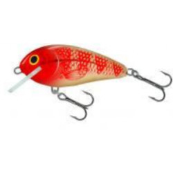 Leurre SALMO Butcher 5cm golden red head- flottant