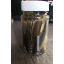 Minnow 10 pieces (canned)