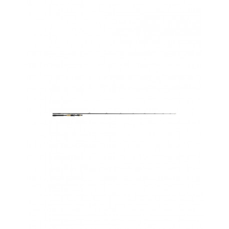 Canne TENRYU BC 73H Pike special 2m21 20-80gr