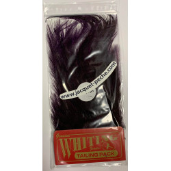 Cou de coq Whiting Cdl Euro Nymph Pardo Purple