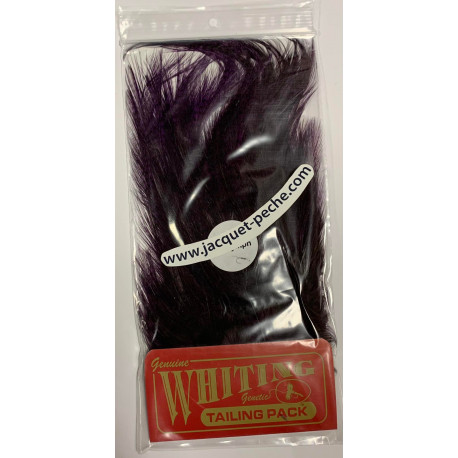 Whiting Cdl Euro Nymph Pardo Purple