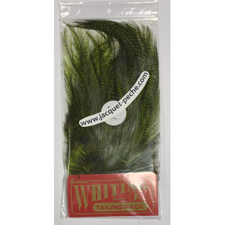 Whiting Cdl Euro Nymph Pardo Green Chartreuse