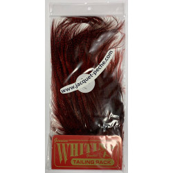 Cou de coq Whiting Cdl Euro Nymph Pardo Red