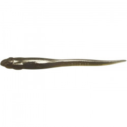 MEGABASS Hazedong 5inch Cinnamon solid