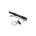 Canne DAIWA Emblem Carp 10' 3.5Lbs