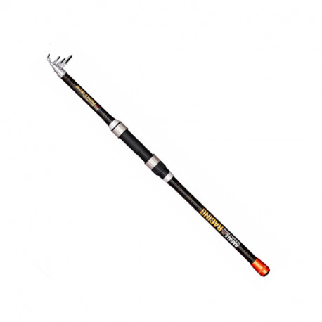 Canne PEZON MICHEL Rafale Racing 2.40m 10-40gr
