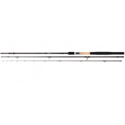 Canne DAIWA N'zon Z power method 3m60-80gr