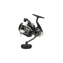Moulinet DAIWA BG MQ 10000-H