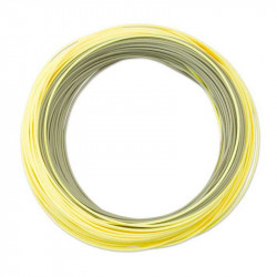 Line ORVIS Hydros trout DT4F 2