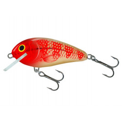 Leurre SALMO Butcher 5cm golden red head- coulant