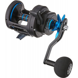 Moulinet DAIWA Saltist 40P