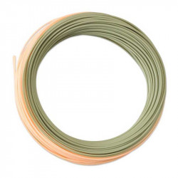 Soie ORVIS Hydros trout WF6F 2