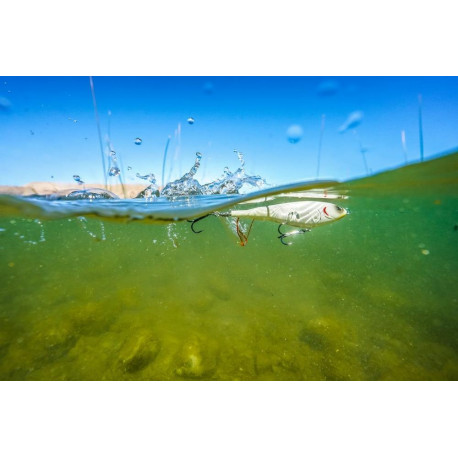 BERKLEY Choppo 7.5cm Sexy back