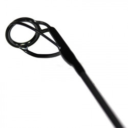 Canne DAIWA Emblem Carp 12' 3,5Lbs 2