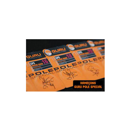 Hameçons GURU Gps pole spécial - N°22