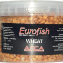 Graines EUROFISH Blé blanc 1/2litre