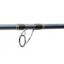 DAIWA Saltist 2m40 40-110gr rod
