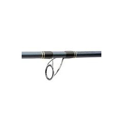 Canne DAIWA Saltist 2m30 150-350gr